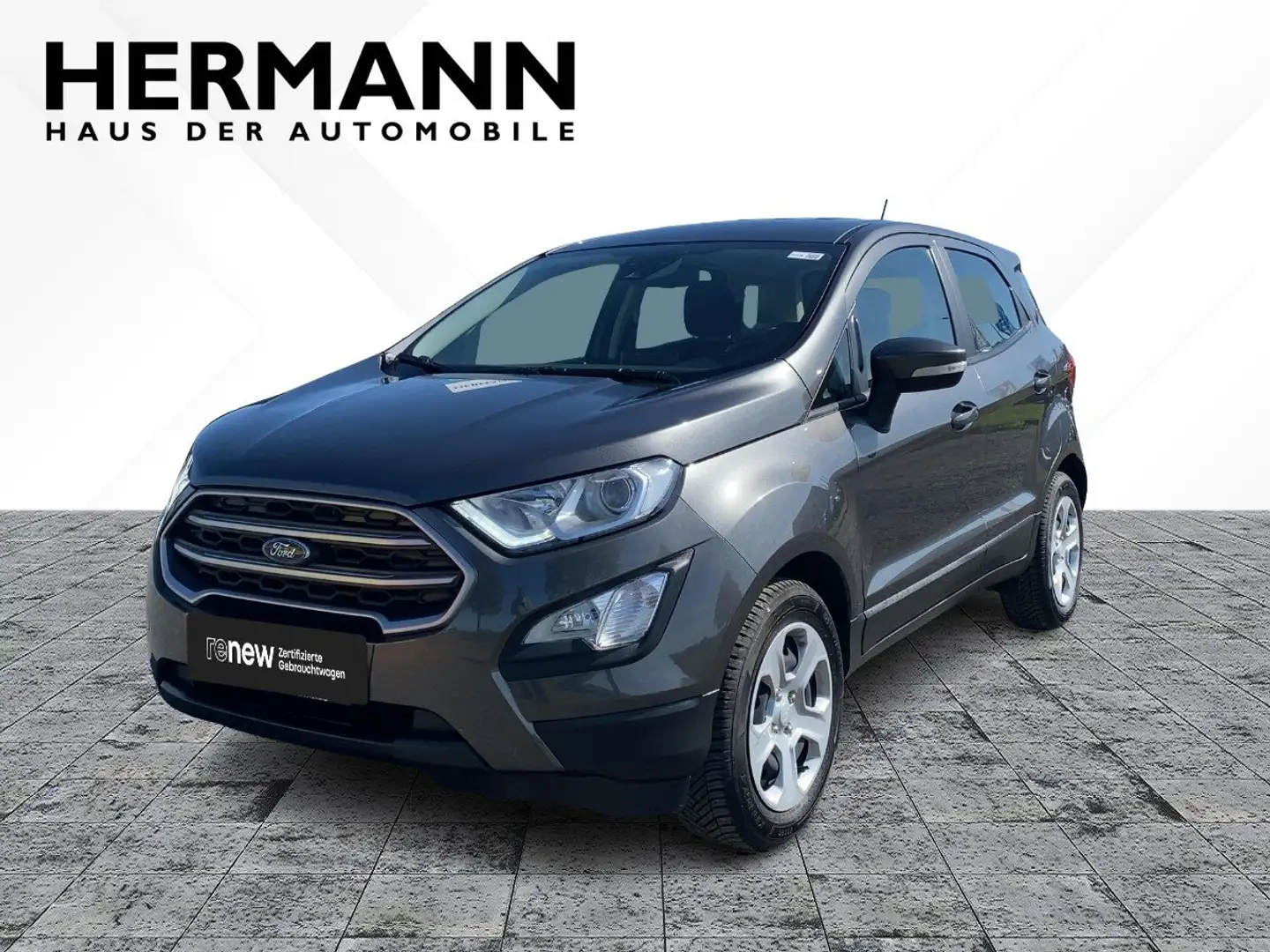 Ford EcoSport 1.0 EcoBoost Cool & Connect AHK*SHZ*Cam Grau - 1