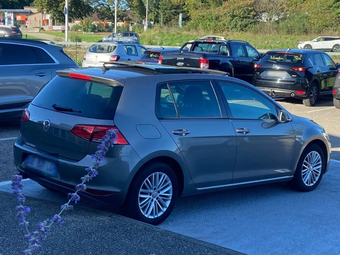 Volkswagen Golf CUP 105 CV 1.2 TSI Grau - 2