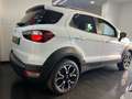 Ford EcoSport 1.0 EcoBoost 125 CV Start&Stop Active Wit - thumbnail 6
