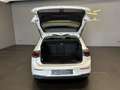 Volkswagen Golf VIII Lim. Life,Aut,2HD,SH,dt.Fahrzeug Weiß - thumbnail 9