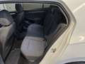 Volkswagen Golf VIII Lim. Life,Aut,2HD,SH,dt.Fahrzeug Weiß - thumbnail 19