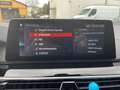 BMW 530 d xDrive Luxury Line-PANO+LED+NAVI-VOLL Plateado - thumbnail 24