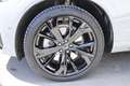 Volvo XC60 T6 AWD Plug-In Hybrid Plus Black Edition Grau - thumbnail 5