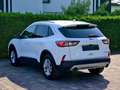 Ford Kuga 2.5 Duratec PHEV Titanium CVT Blanc - thumbnail 7