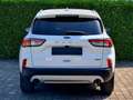 Ford Kuga 2.5 Duratec PHEV Titanium CVT Blanc - thumbnail 6