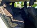 Ford Kuga 2.5 Duratec PHEV Titanium CVT Blanc - thumbnail 14