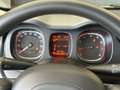 Fiat Panda 1.0 Gse City Live Hybrid Gris - thumbnail 12