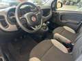 Fiat Panda 1.0 Gse City Live Hybrid Gris - thumbnail 18