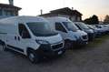 Fiat Panda fiorini,ducato,vito,DOBLò Bianco - thumbnail 1