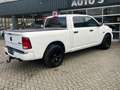 Dodge RAM 1500 5.7 V8 4x4 Crew Cab 5'7 Blanc - thumbnail 8