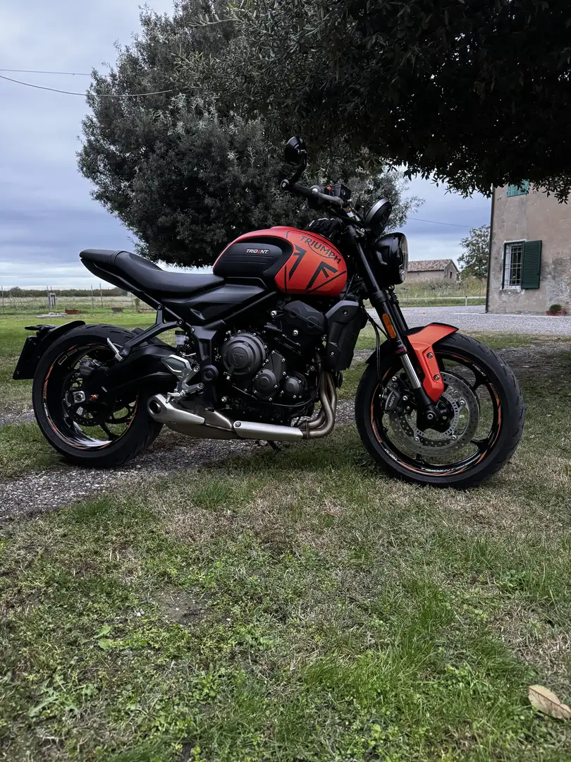 Triumph Trident 660 arancione Portocaliu - 2