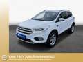 Ford Kuga 1.5 EcoBoost 2x4 Cool & Connect Bianco - thumbnail 1