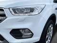 Ford Kuga 1.5 EcoBoost 2x4 Cool & Connect Bianco - thumbnail 5
