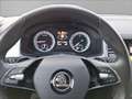 Skoda Kodiaq Tour 4x4 2,0 TDI DSG Radar/AHV schwenkbar/LED Weiß - thumbnail 15