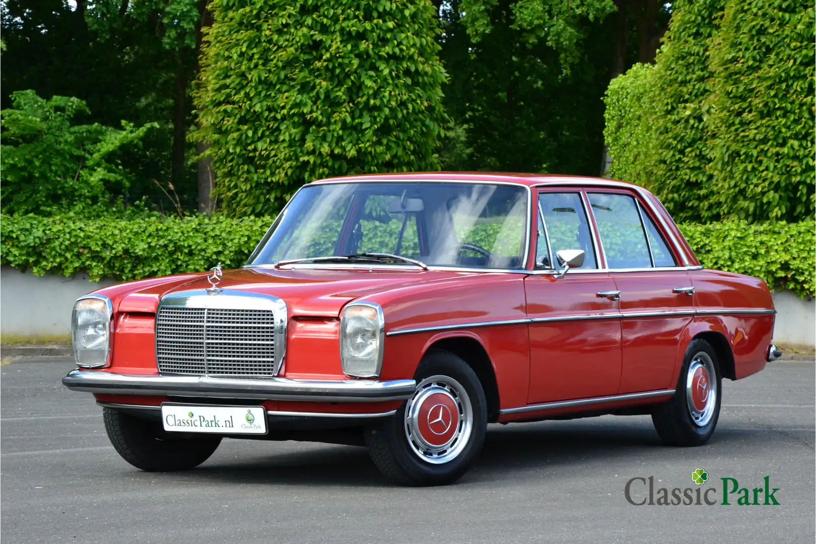 Mercedes-Benz 230 Automatic Rosso - 1