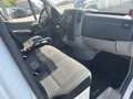 Mercedes-Benz Sprinter 314 2.2 CDI - AUTOMATIC - DENSO KUHLING (not worki Blanc - thumbnail 9