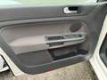 Volkswagen Golf Golf  Plus 1.6 United GPL GARANZIA 1 ANNO Wit - thumbnail 11