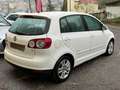 Volkswagen Golf Golf  Plus 1.6 United GPL GARANZIA 1 ANNO Wit - thumbnail 3
