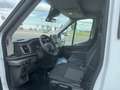 Ford Transit 2.0 Ecoblue EK Pritsche 350 L2 Trend LAGERBONUS Weiß - thumbnail 7