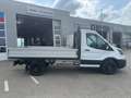 Ford Transit 2.0 Ecoblue EK Pritsche 350 L2 Trend LAGERBONUS Weiß - thumbnail 4