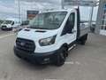 Ford Transit 2.0 Ecoblue EK Pritsche 350 L2 Trend LAGERBONUS Weiß - thumbnail 1