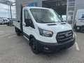 Ford Transit 2.0 Ecoblue EK Pritsche 350 L2 Trend LAGERBONUS Weiß - thumbnail 3