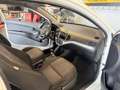 Kia Picanto 1.0 CVVT Airco inruilen is mogelijk Blanc - thumbnail 10