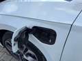 Skoda Octavia RS iV 245 DSG Weiß - thumbnail 28