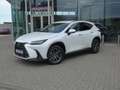 Lexus NX 450h+ *Plug-in* AWD Executive Line +Zetelventi +Leder Blanc - thumbnail 2