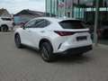 Lexus NX 450h+ *Plug-in* AWD Executive Line +Zetelventi +Leder Blanc - thumbnail 4