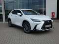 Lexus NX 450h+ *Plug-in* AWD Executive Line +Zetelventi +Leder Blanc - thumbnail 30