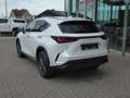 Lexus NX 450h+ *Plug-in* AWD Executive Line +Zetelventi +Leder Blanc - thumbnail 5