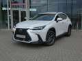 Lexus NX 450h+ *Plug-in* AWD Executive Line +Zetelventi +Leder Blanc - thumbnail 1
