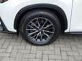 Lexus NX 450h+ *Plug-in* AWD Executive Line +Zetelventi +Leder Blanc - thumbnail 6
