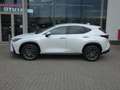 Lexus NX 450h+ *Plug-in* AWD Executive Line +Zetelventi +Leder Blanc - thumbnail 3