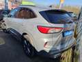 Ford Kuga 1.5 TDCI 120CV ST-LINE Gris - thumbnail 4