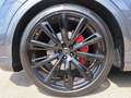 Audi Q8 competition plus 50 TDI quattro tiptr.  PANO AHK Grau - thumbnail 9