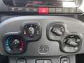 Fiat Panda 1.0 Mild Hybrid City Cross 4x2 Blanco - thumbnail 16