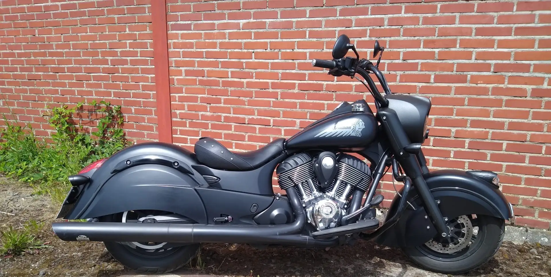 Indian Chief Darkhorse Negro - 2