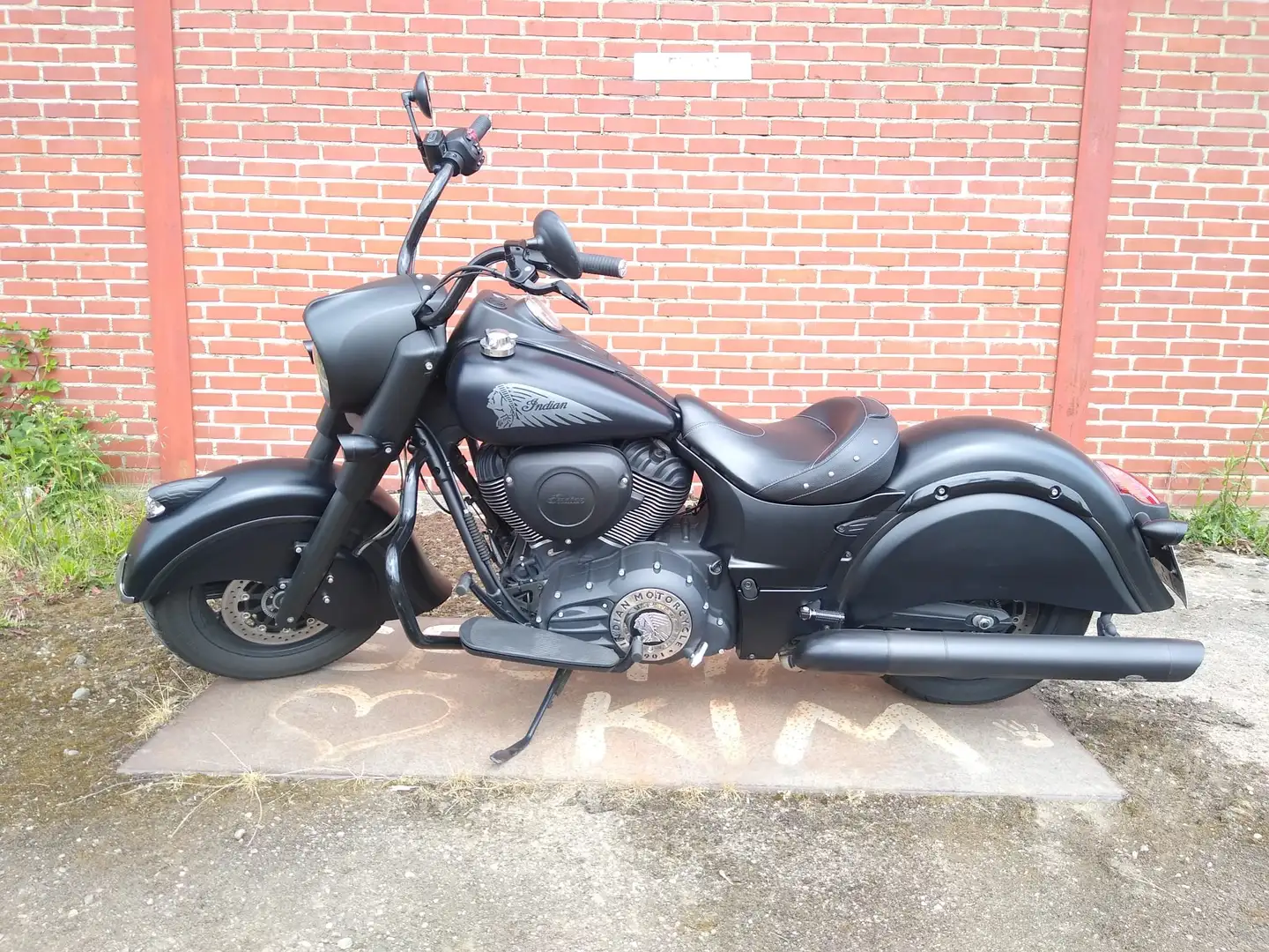 Indian Chief Darkhorse Negro - 1