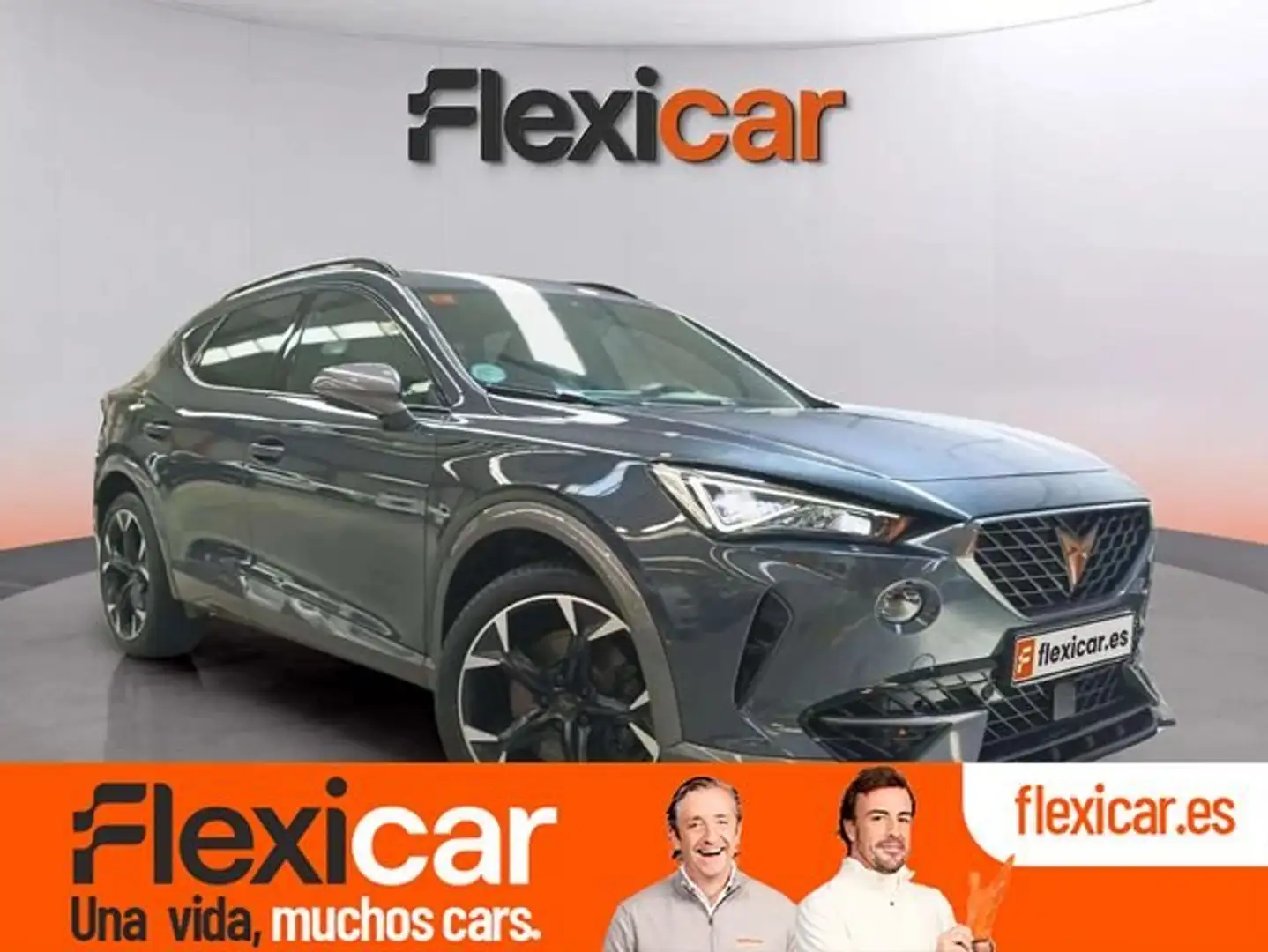 CUPRA Formentor 2.0 TSI 228kW) 4Drive DSG L Ed Graphene Gris - 1