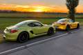 Porsche Cayman CAYMAN  R  "PDK"  ERSTE HAND, 7.800 KM, VOLL Green - thumbnail 9