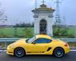 Porsche Cayman CAYMAN  R  "PDK"  ERSTE HAND, 7.800 KM, VOLL Zöld - thumbnail 4