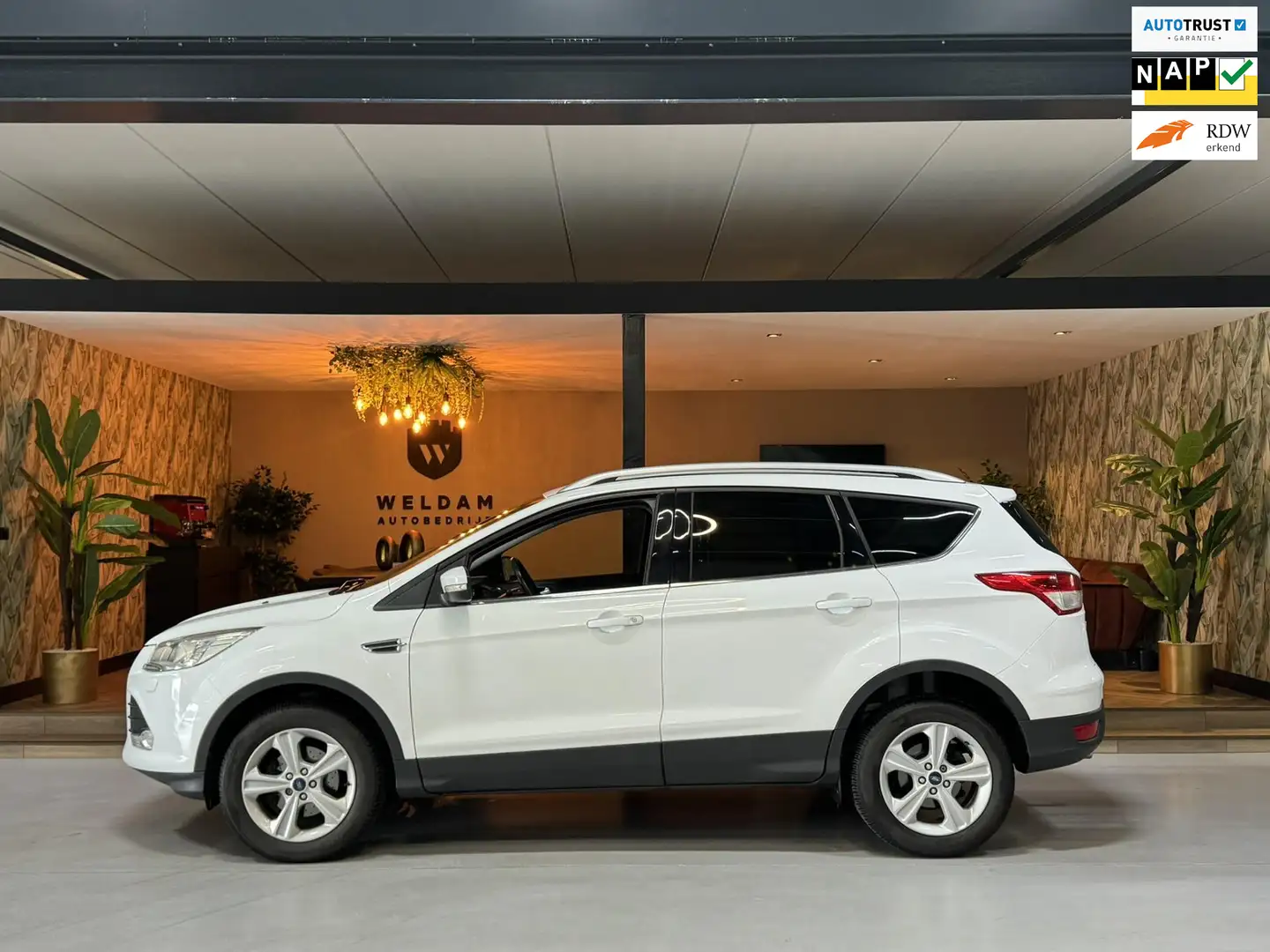 Ford Kuga 1.5 Titanium Garantie Trekhaak PDC Clima Keyless S Wit - 1