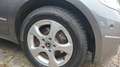 Mercedes-Benz A 160 A 160  AVANTGARDE; Parksensor rundum! nur 61TKM! Grau - thumbnail 18