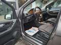 Mercedes-Benz A 160 A 160  AVANTGARDE; Parksensor rundum! nur 61TKM! Grau - thumbnail 7