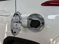 EVO EVO5 Evo 5 1.5 Turbo Bi-fuel GPL Essential - thumbnail 19