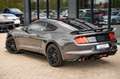 Ford Mustang GT  5.0 PREMIUM GT/SHELBY FC.LIFT Grey - thumbnail 14