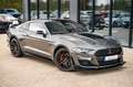 Ford Mustang GT  5.0 PREMIUM GT/SHELBY FC.LIFT Gris - thumbnail 8