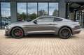 Ford Mustang GT  5.0 PREMIUM GT/SHELBY FC.LIFT siva - thumbnail 11